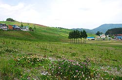神鍋高原